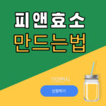 피엔효소