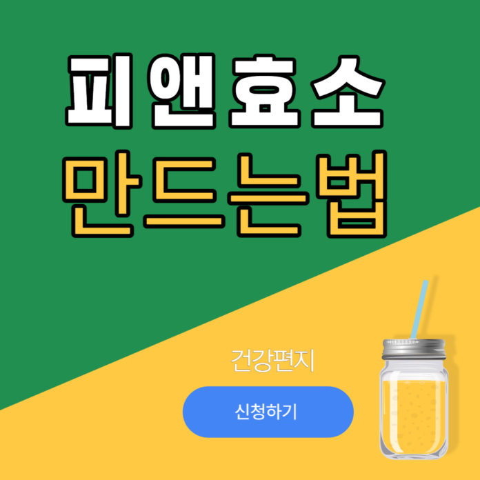 피엔효소